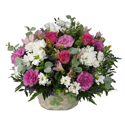 CESTA PRIMAVERA