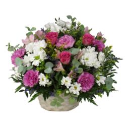 CESTA PRIMAVERA