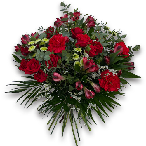 Ramo SAN VALENT&Iacute;N