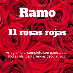 Ramo 11 Rosas Rojas