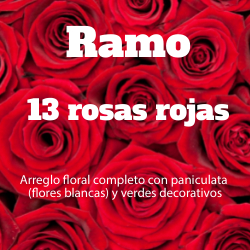 Ramo 13 Rosas Rojas