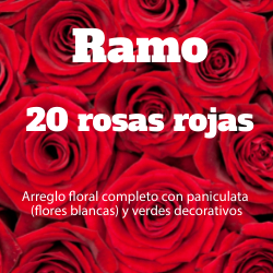 Ramo 20 Rosas Rojas