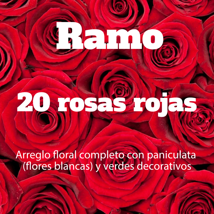 Ramo 20 Rosas Rojas