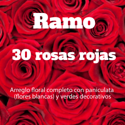 Ramo 30 Rosas Rojas