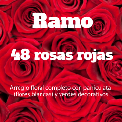 Ramo 48 Rosas Rojas