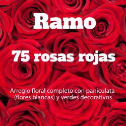 Ramo 75 Rosas Rojas