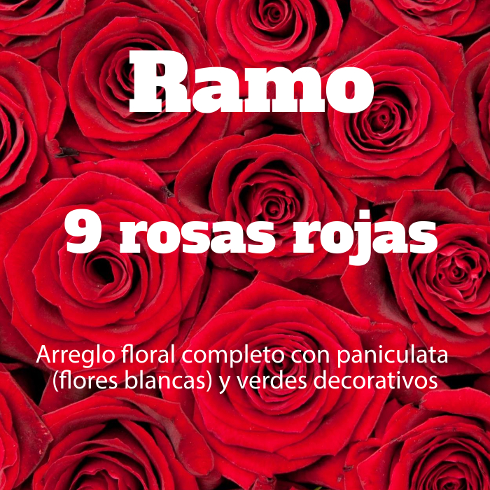 Ramo 9 Rosas Rojas