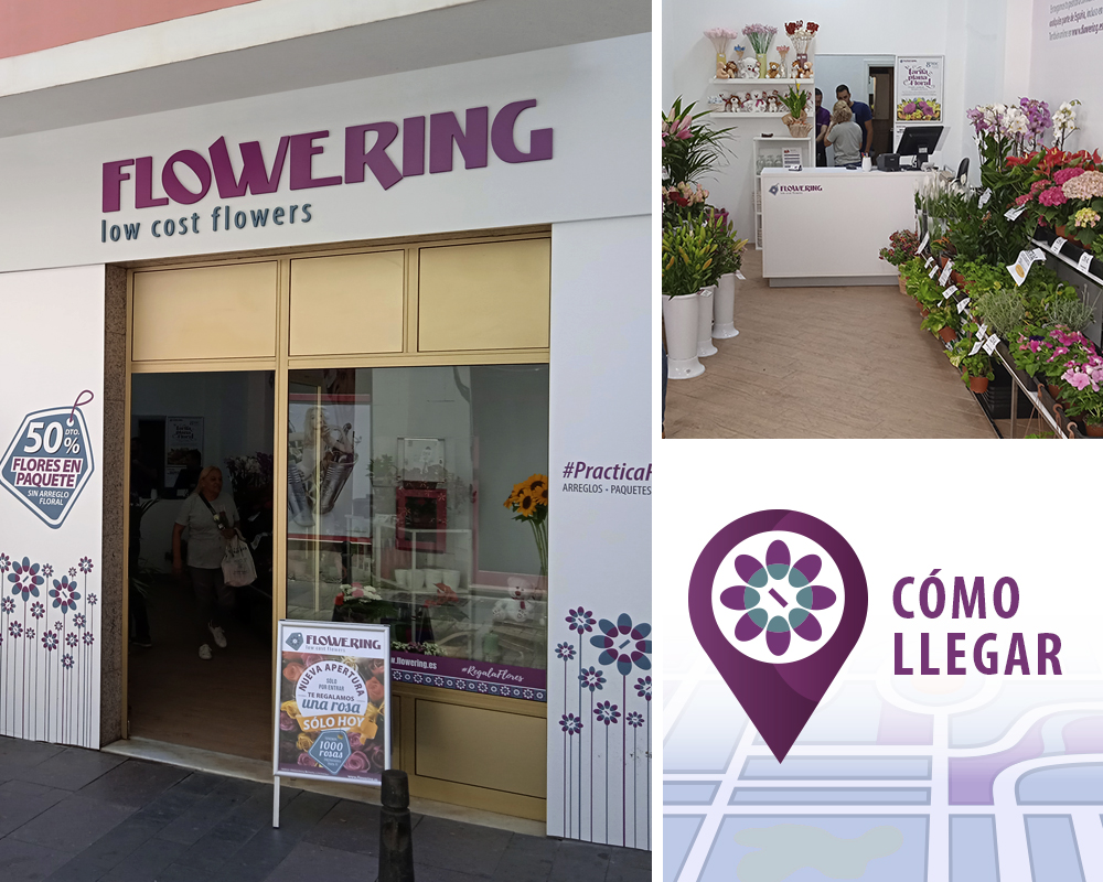 Floristeras Gran Canaria