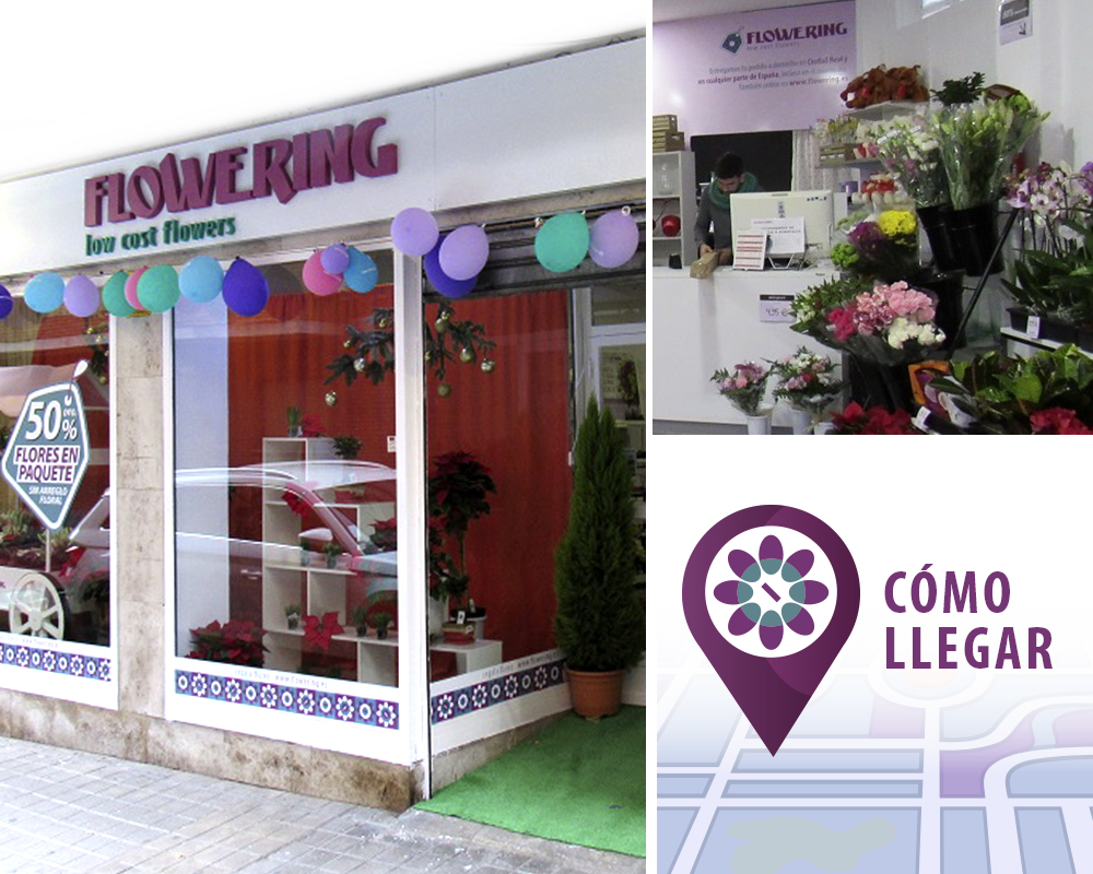 Floristerías Ciudad Real