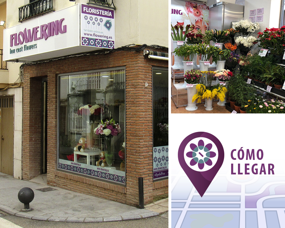 Floristerías Torredelcampo