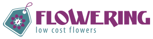 ▷ Floristería online Flowering | Low cost Flowers